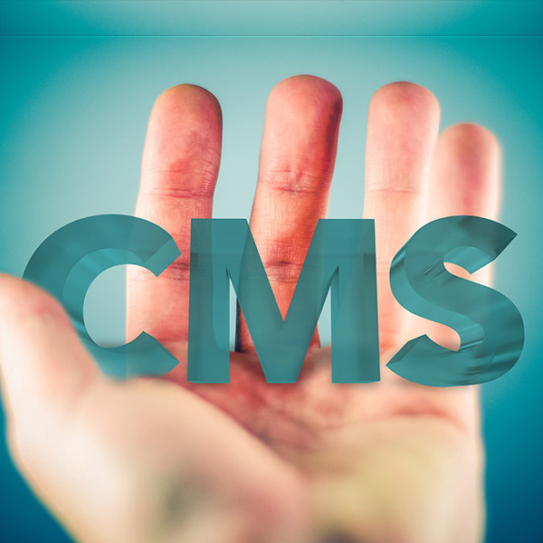 Website CMS in Hand